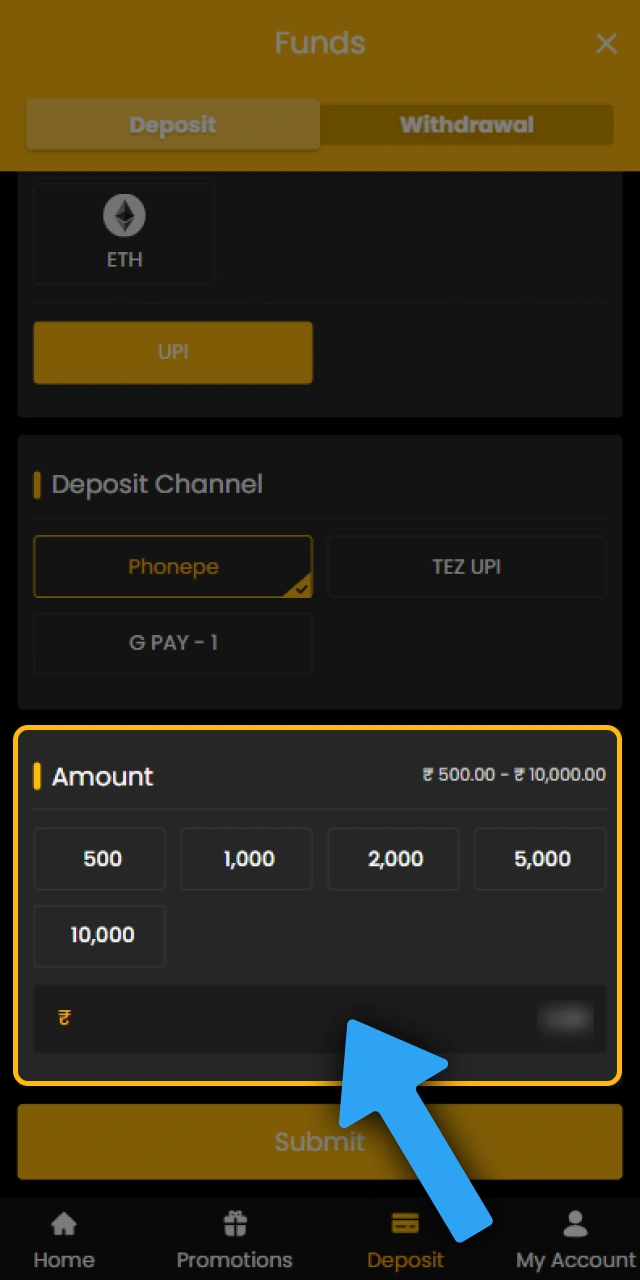 Specify the sum you wish to deposit in the Sky247 app.