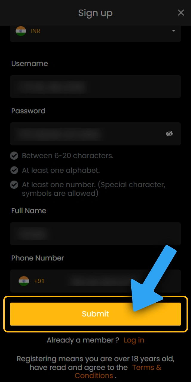 Verify your Sky247 mobile account details to confirm registration steps.