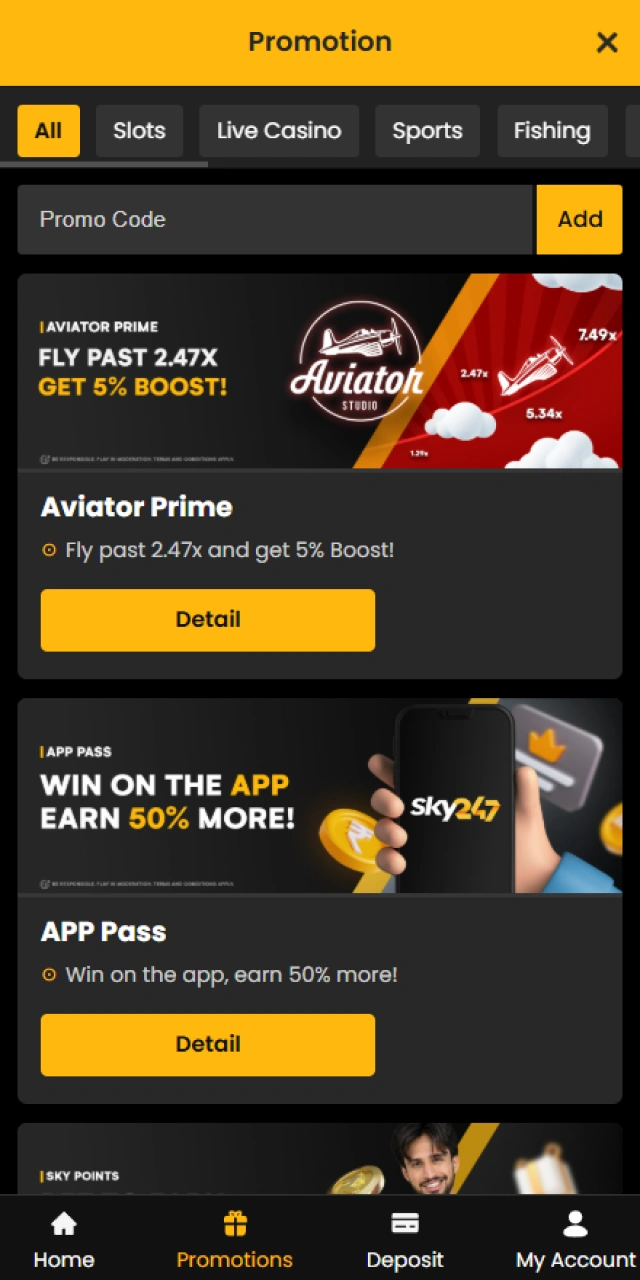 Enable your chosen bonus inside the Sky247 promotional portal.