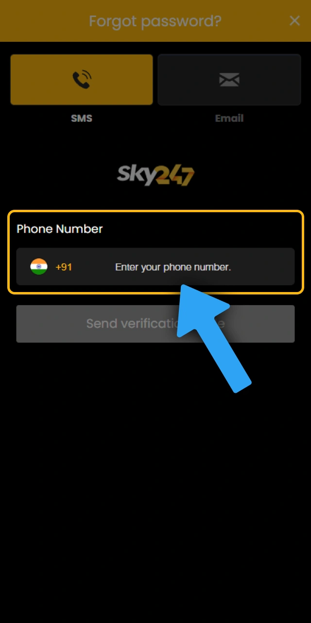 Provide your Sky247 account details to retrieve your login password.