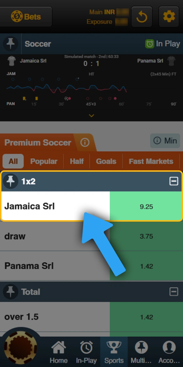 Select high odds and betting markets for your Sky247 bet.
