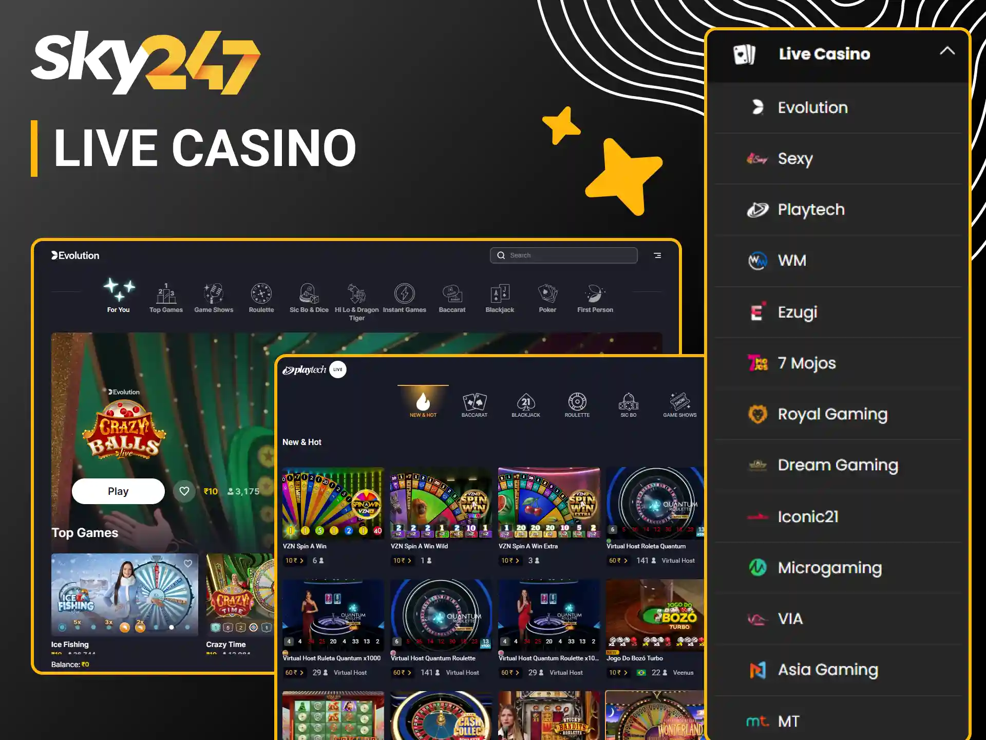 Play with professional dealers in the Sky247 live casino section.