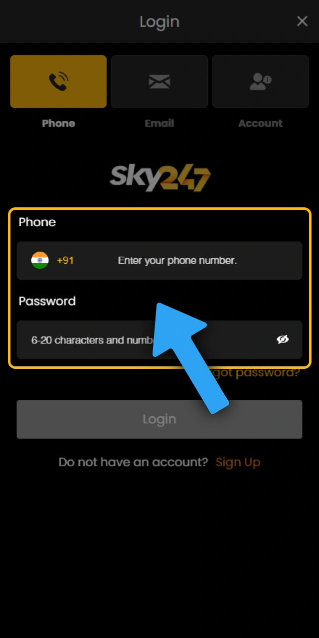 Enter your account details to access your Sky247 profile during login.