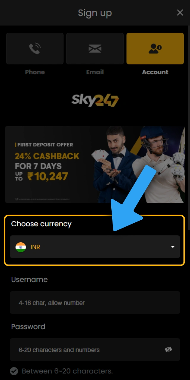 Choose a currency and accept the terms to complete Sky247 sign up.